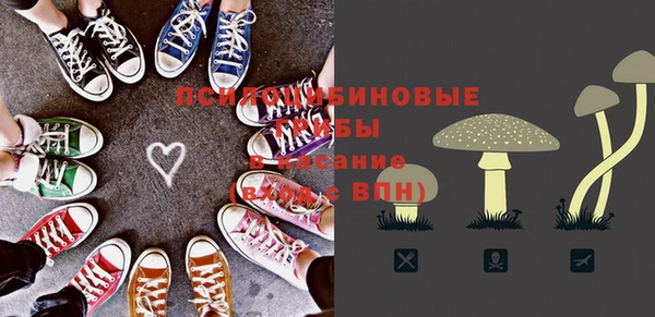 PSILOCYBIN Навашино