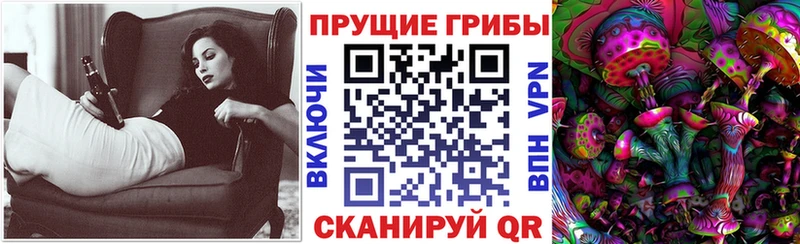 Купить где  Далматово  Псилоцибиновые грибы Cubensis 
